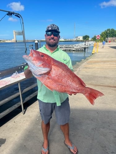 Deep Sea Fishing Frenzy In Freeport