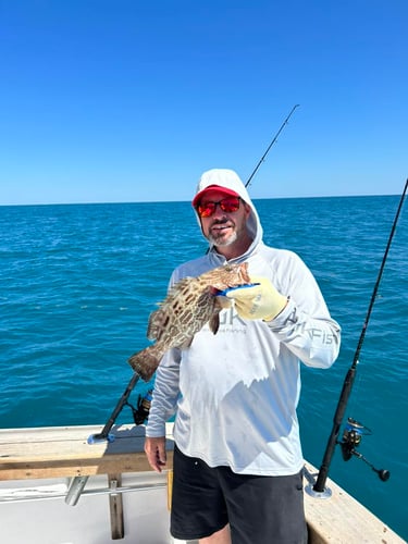 3/4 Day Key West Sportfishing In Naval Air Station Key West