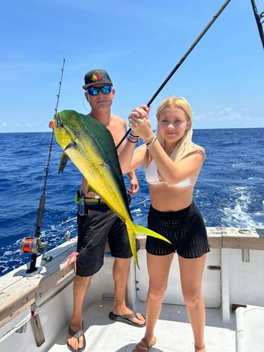 1/2 Day Key West Sportfishing In Key West