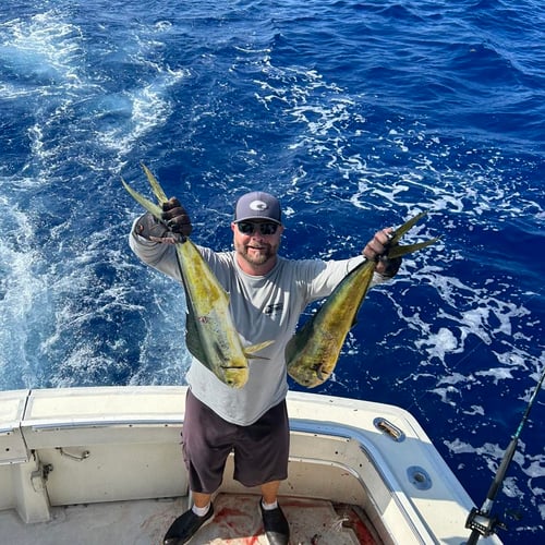 1/2 Day Key West Sportfishing In Key West