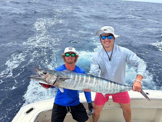 1/2 Day Key West Sportfishing In Key West