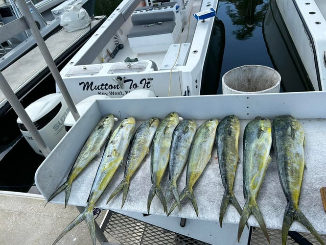 1/2 Day Key West Sportfishing In Naval Air Station Key West