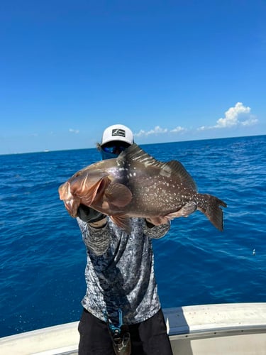 1/2 Day Key West Sportfishing In Naval Air Station Key West