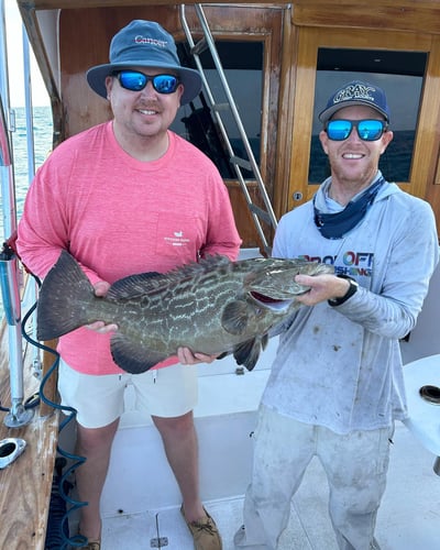 1/2 Day Key West Sportfishing In Key West