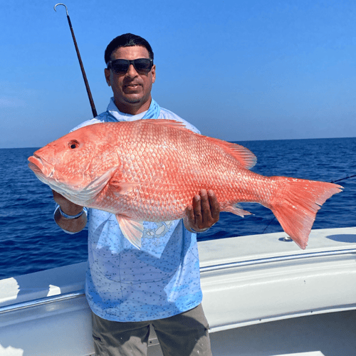 Red Snapper Fishing In Belleair Bluffs