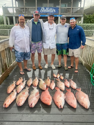 Red Snapper Fishing In Belleair Bluffs