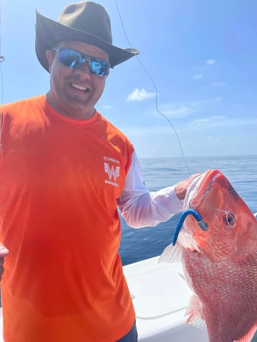 Luxury Snapper Fishing In Galveston