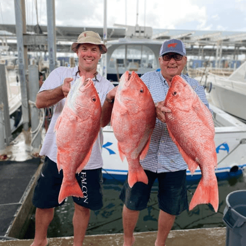 Luxury Snapper Fishing In Galveston