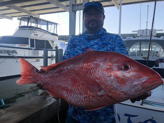 Luxury Snapper Fishing In Galveston