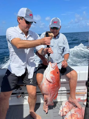 Luxury Snapper Fishing In Galveston