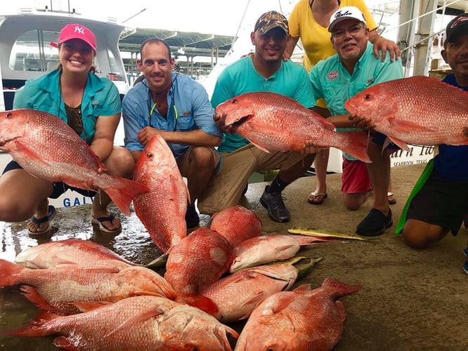 Luxury Snapper Fishing In Galveston