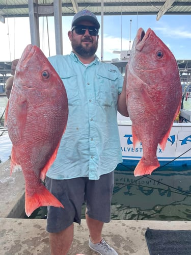 Luxury Snapper Fishing In Galveston