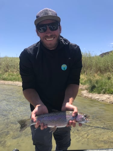 San Juan River - Wade Trip In Navajo Dam