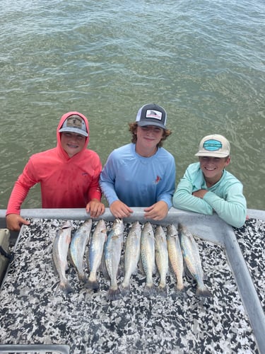 Wade Fishing In Matagorda