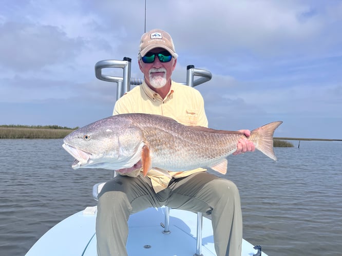 Poisson Redfish On The Fly In Houma