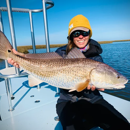 Poisson Redfish On The Fly In Houma