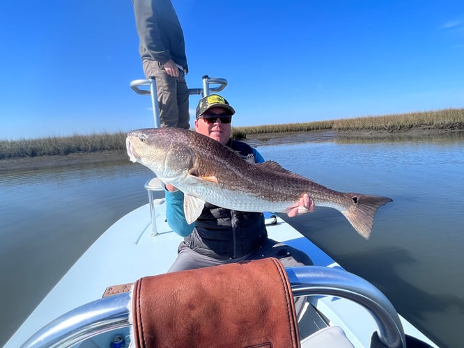 Poisson Redfish On The Fly In Houma