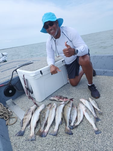 KIDS OUT OF SCHOOL SPECIAL!! In Galveston