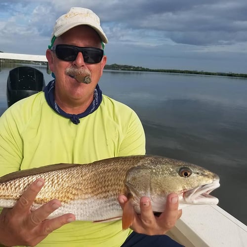 Running The Rivers For Reds In Ormond Beach