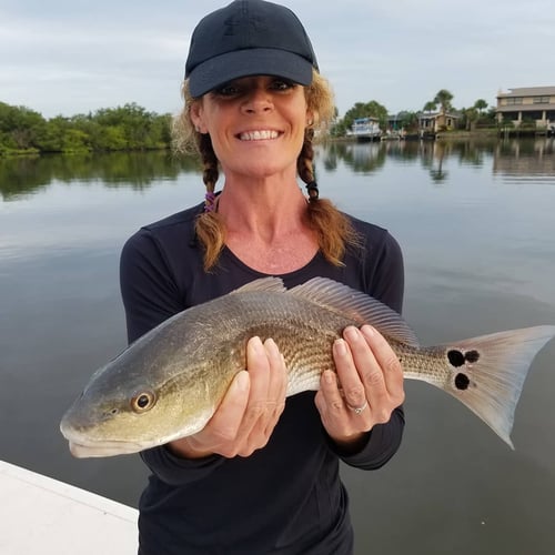 Running The Rivers For Reds In Ormond Beach