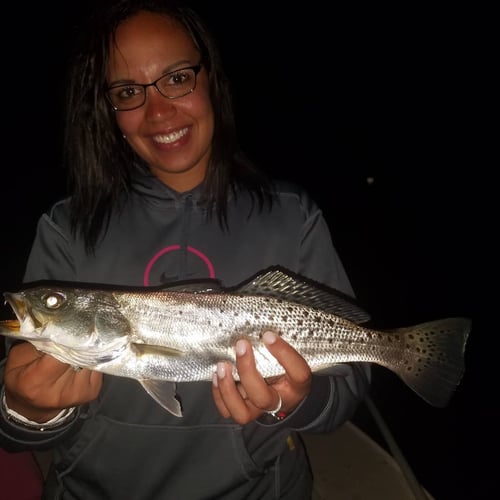 Artificial Lures River Style In Ormond Beach