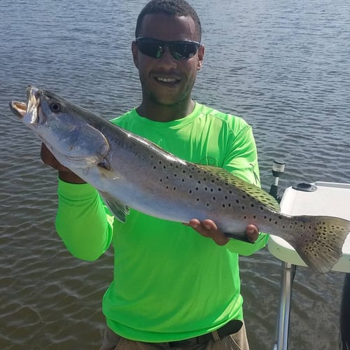 Artificial Lures River Style In Ormond Beach