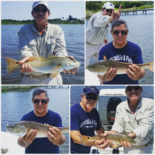 Artificial Lures River Style In Ormond Beach
