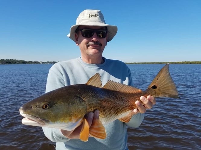 Artificial Lures River Style In Ormond Beach