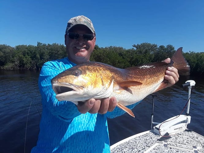 Artificial Lures River Style In Ormond Beach