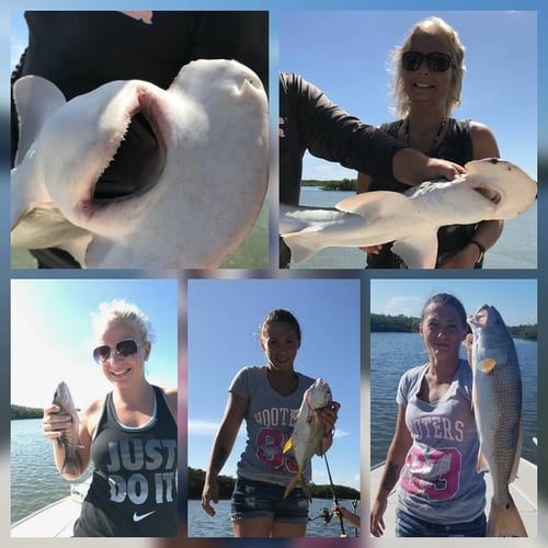 Fantastic Flagler Beach Inshore In Flagler Beach