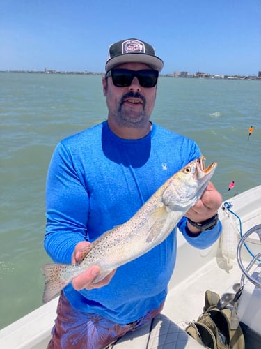 Laguna Madre Magic In South Padre Island