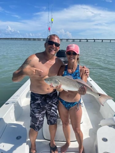 Laguna Madre Magic In South Padre Island