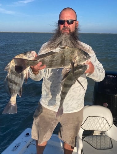 Laguna Madre Magic In South Padre Island