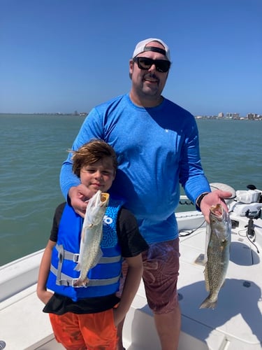 Laguna Madre Magic In South Padre Island