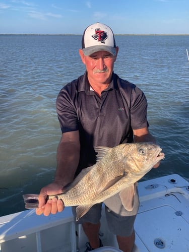 Laguna Madre Magic In South Padre Island