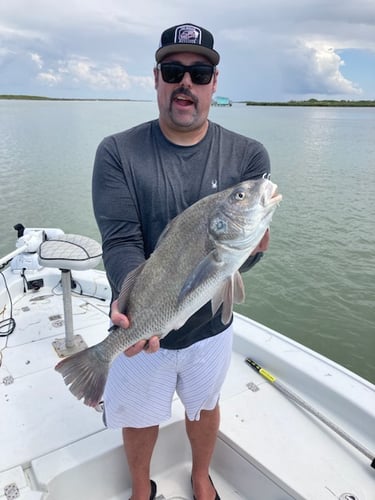 Laguna Madre Magic In South Padre Island