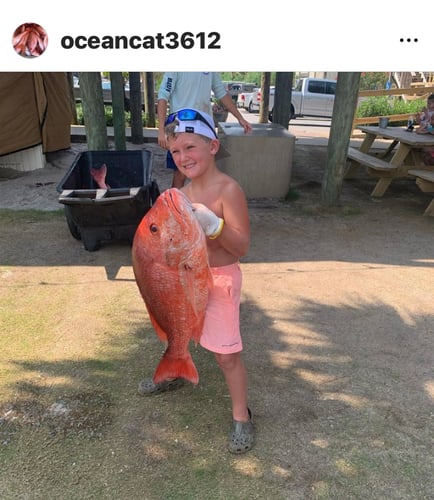 Bottom Fishing For Bigguns In Orange Beach