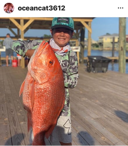 Bottom Fishing For Bigguns In Orange Beach