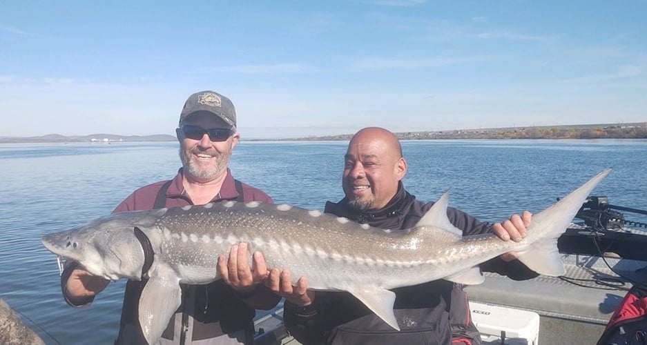 Walleye, Shad, And Sturgeon Trip In Pasco