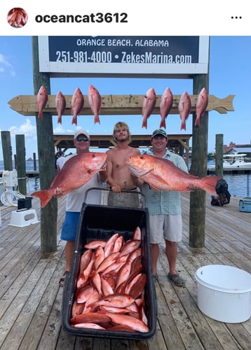 Ocean Bounty: Reel & Thrill In Orange Beach