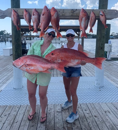 Ocean Bounty: Reel & Thrill In Orange Beach