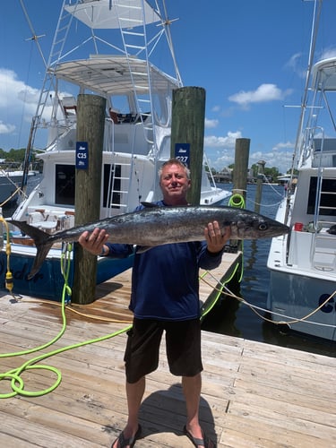 Ocean Bounty: Reel & Thrill In Orange Beach