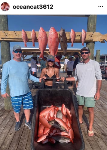 Ocean Bounty: Reel & Thrill In Orange Beach