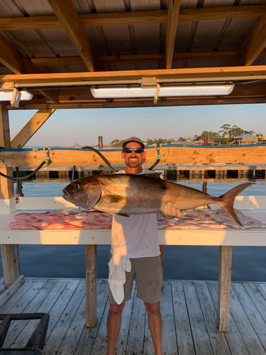 Ocean Bounty: Reel & Thrill In Orange Beach