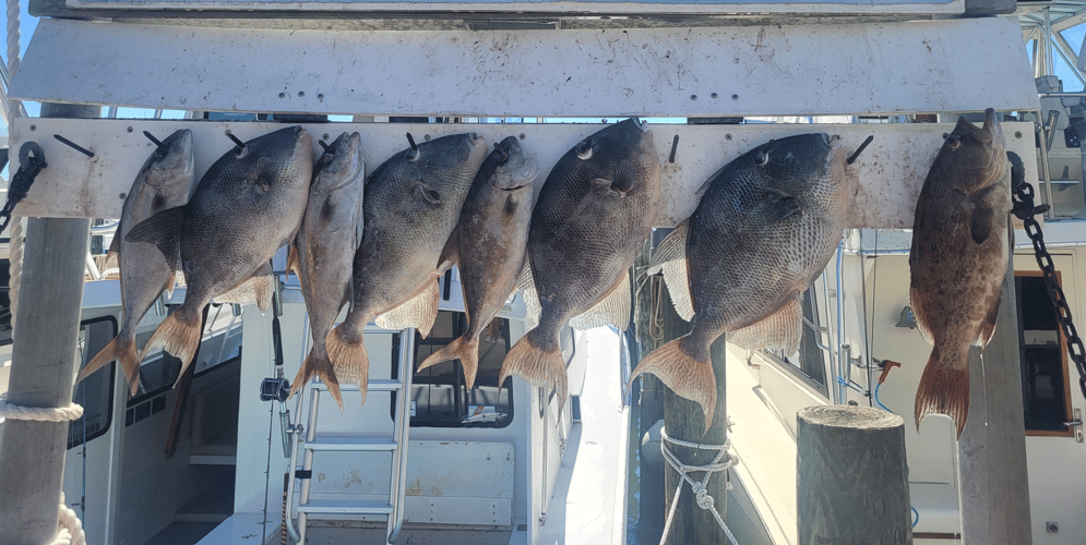 8 Hour Red Snapper Frenzy In Destin