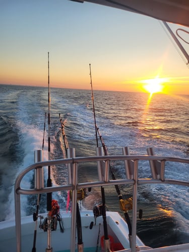 Trolling And Bottom Fishing Frenzy In Destin