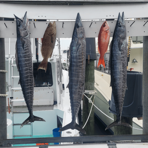 Trolling And Bottom Fishing Frenzy In Destin