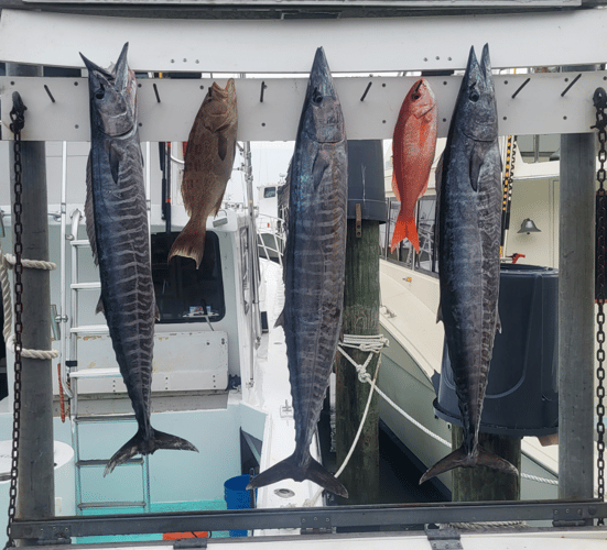 Trolling And Bottom Fishing Frenzy In Destin