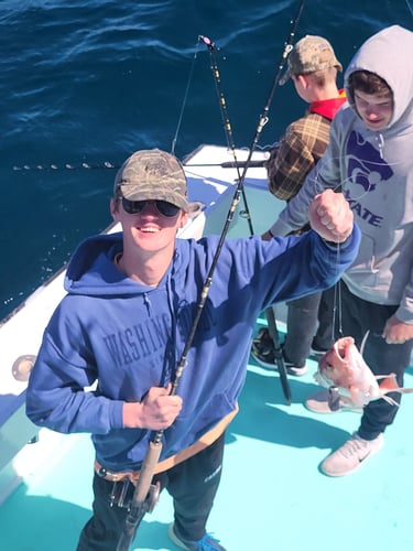 Trolling And Bottom Fishing Frenzy In Destin