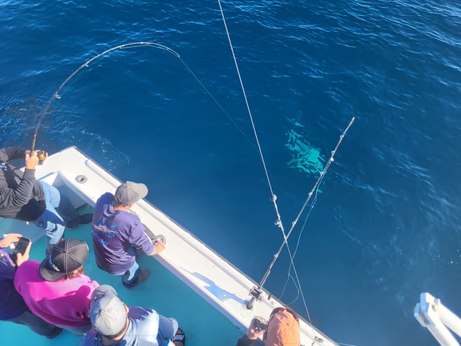 Big Catch Quest: Deep Sea Voyage In Destin